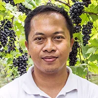 A.A. Putra Sumarshana Willys