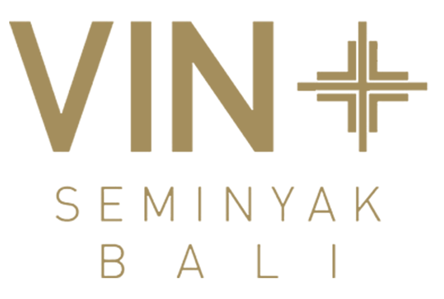 vin+ seminyak