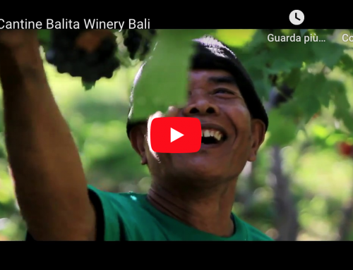 Cantine Balita Winery Bali